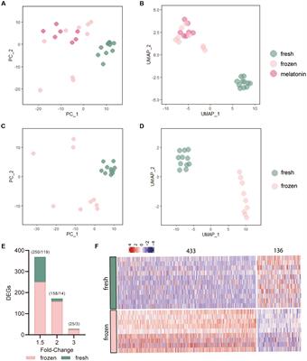 Melatonin improves the vitrification of sheep morulae by modulating transcriptome